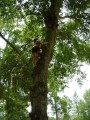 I like to climb.jpg