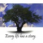 Generations Video Tree with Tag Line.jpg