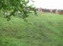 Cheese Rolling.flv snap shot
