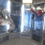 indoor-skydiving16x9.jpg indoor-skydiving16x9.jpg