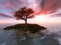14_fall_s.jpg