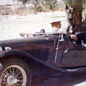 Marc's 1947 MGTC 