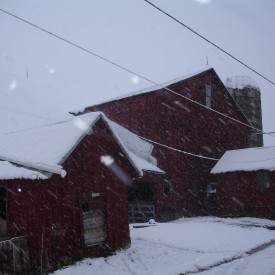 Nam's farm