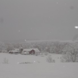 Nam's farm blanketed in snow