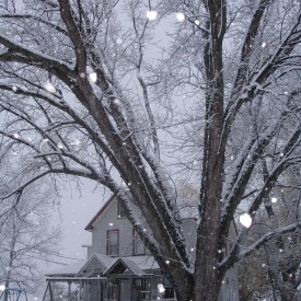 Snow falling on the house