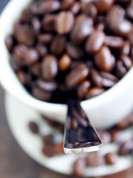 genericprofile-coffee-cup.jpg genericprofile-coffee-cup.jpg