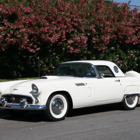 Carmi56TBird.JPG