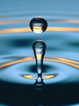 ripple.jpg ripple.jpg