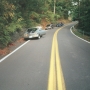 El Camino and Two Mustangs