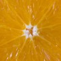 orange.jpg