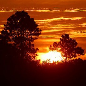 sunrise-3.jpg sunrise-3.jpg