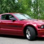 2007_GTCS_001-crop.jpg