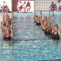 Synchronized Swimmers