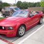 SDC10563.JPG