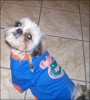 Sandy loves the Gators