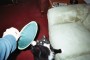 My Cat Oreo