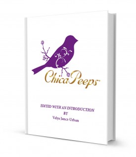 CHIP102ART.BookCover01.jpg