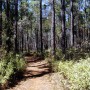 Hiking