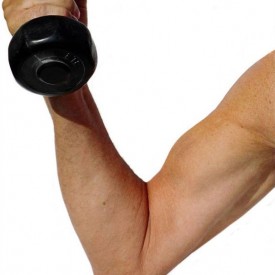 The Disappearing Muscles Myth episode artwork