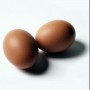eggs1x1.jpg