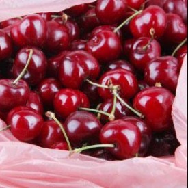 Dr. Susan Mitchell: 5 Foods to Save Your Life episode artwork