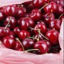 cherries1x1.jpg cherries1x1.jpg