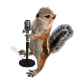Boomer The Crooner Boomer The Crooner