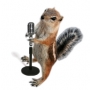 Boomer The Crooner Boomer The Crooner